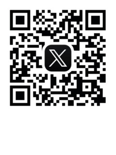 公式X